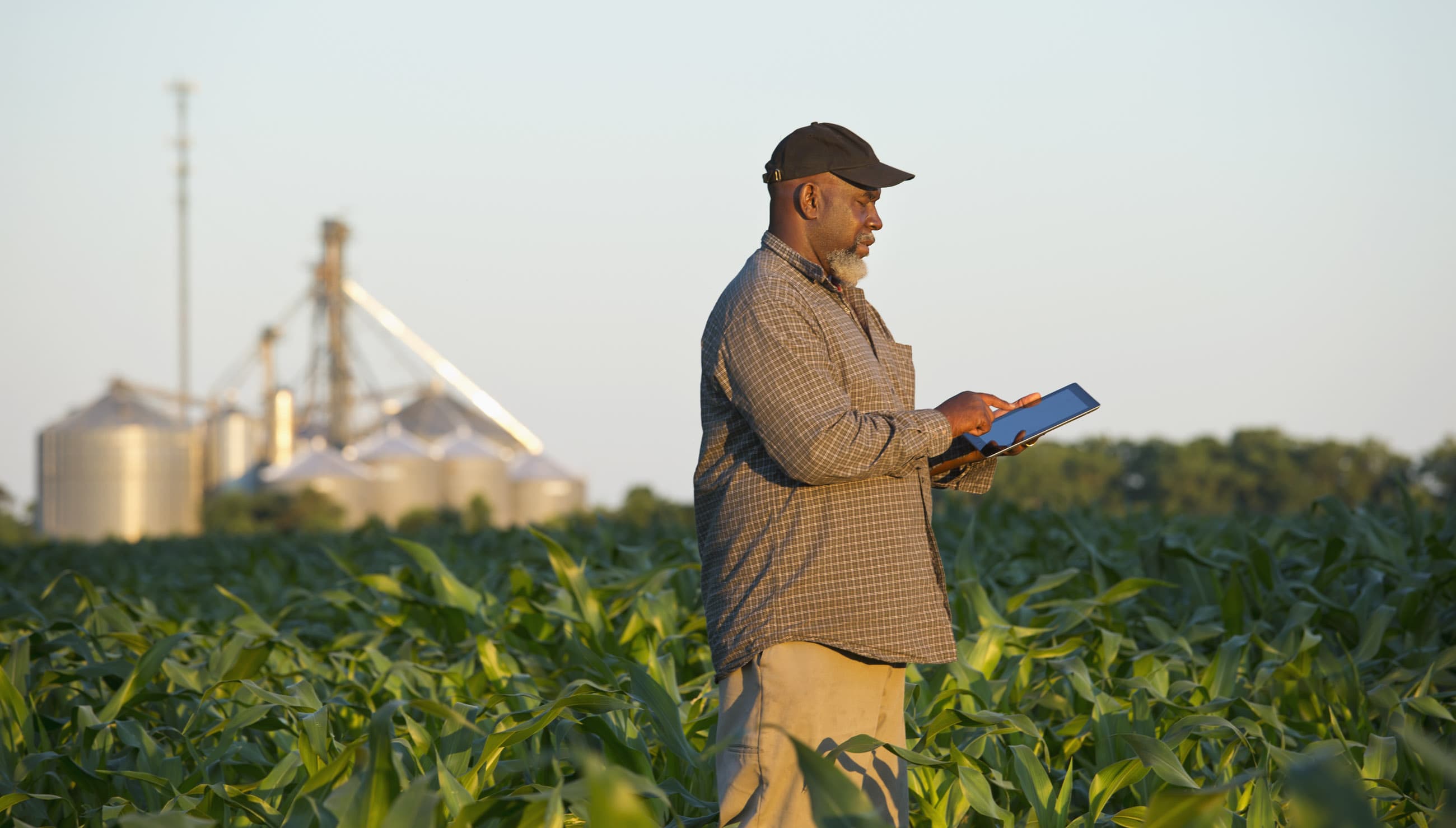 Agriculture background 2