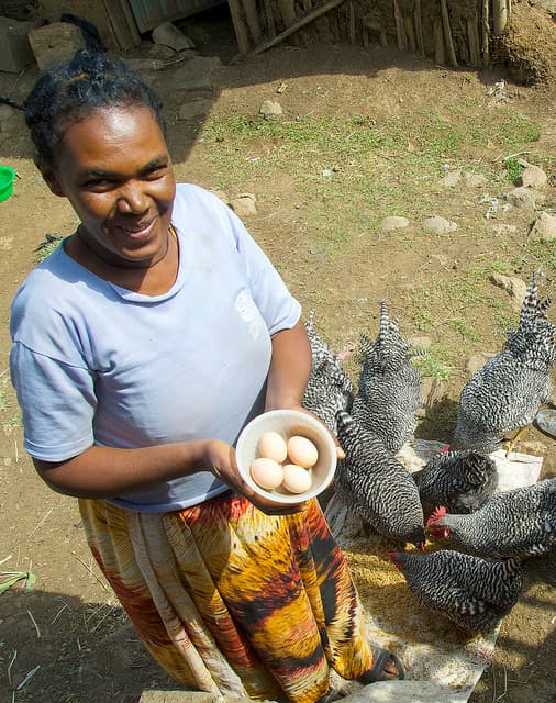 Farmer Success Story