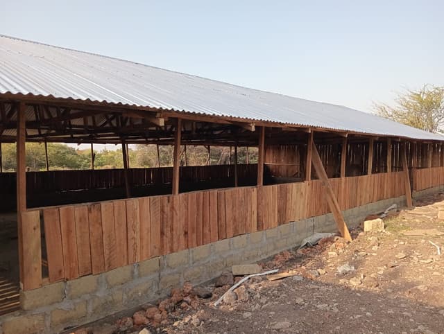 Modern Poultry House