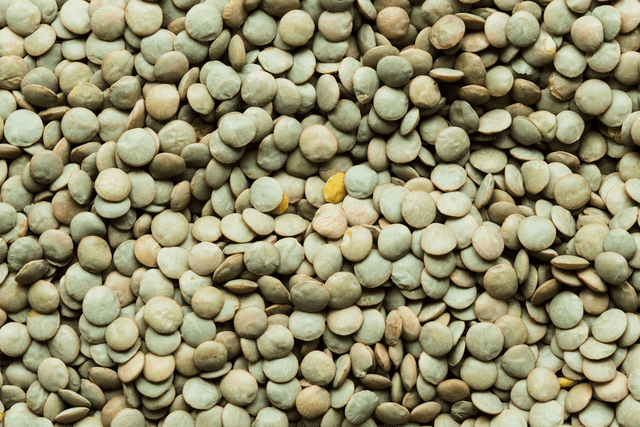 Pulses Logo