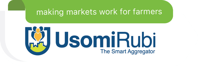 Usomi Limited Logo